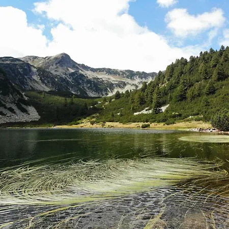 Great Location Near Lift * Bansko